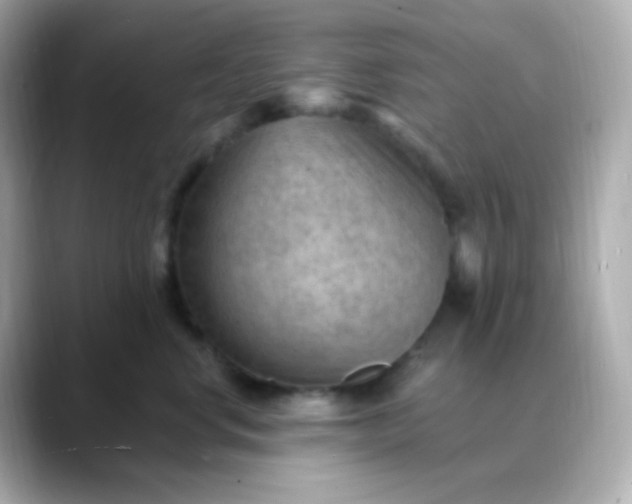 X0000088410668200706051155