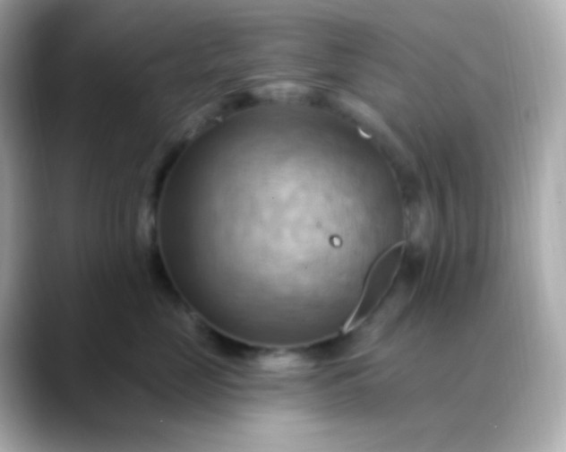 X0000088410669200706051155