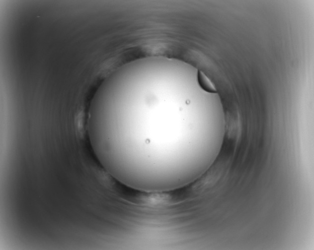 X0000088410670200706051155