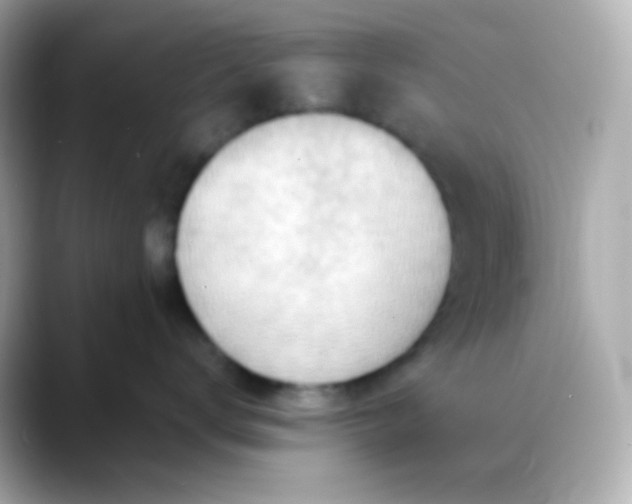 X0000088410672200706051155