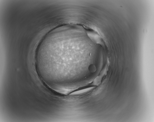 X0000088410673200706051154