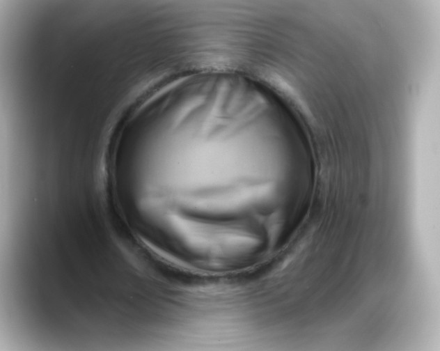 X0000088410674200706051154