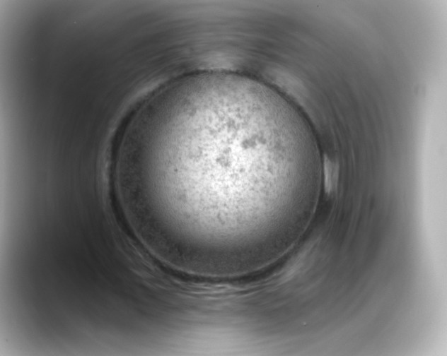 X0000088410675200706051154