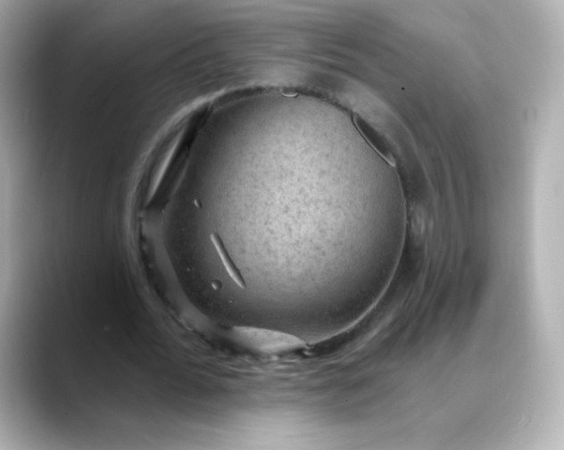 X0000088410676200706051154