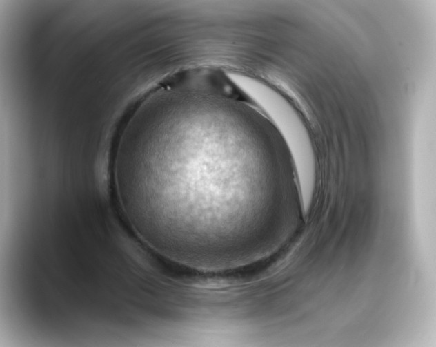 X0000088410677200706051154