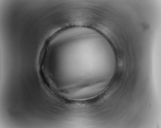 X0000088410678200706051154