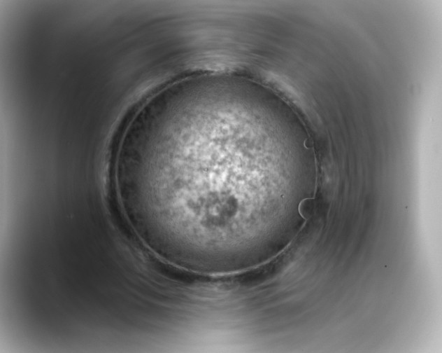 X0000088410679200706051154