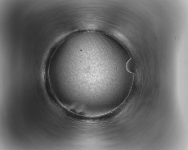 X0000088410680200706051154