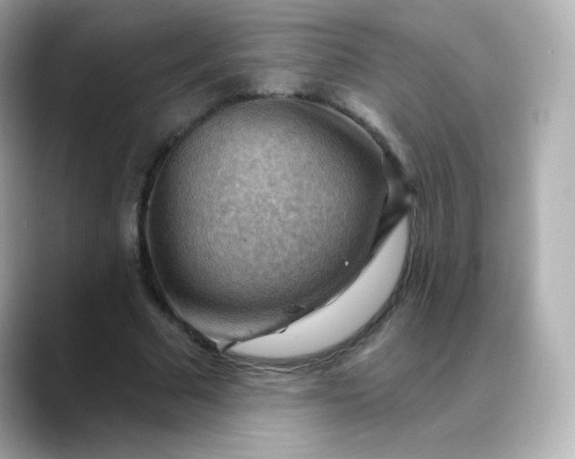 X0000088410681200706051154