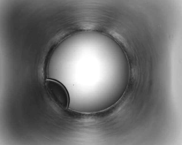 X0000088410682200706051154