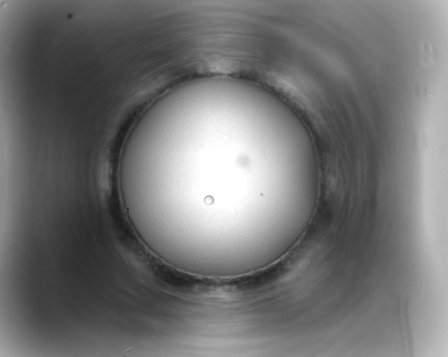 X0000088410683200706051154