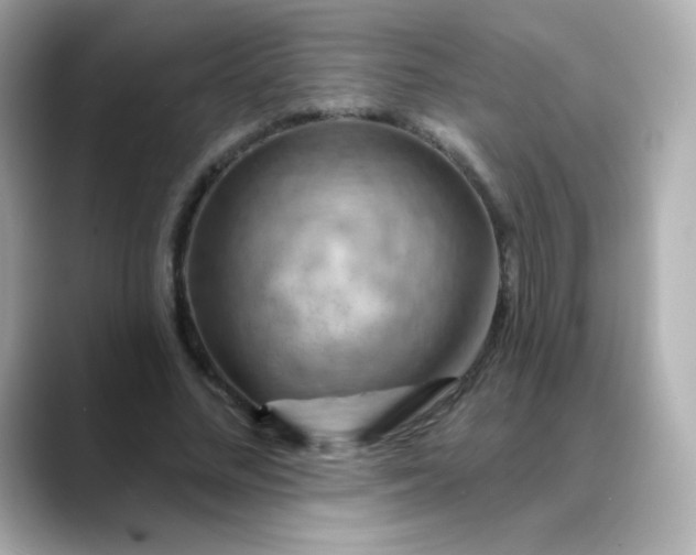 X0000088410684200706051154