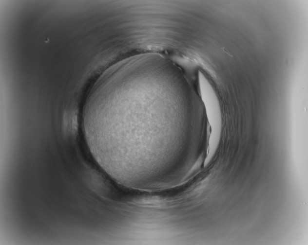 X0000088410685200706051154