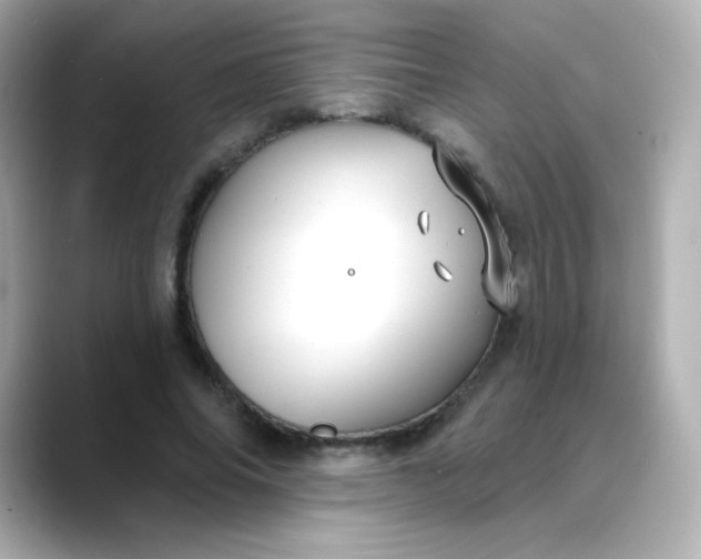 X0000088410686200706051154