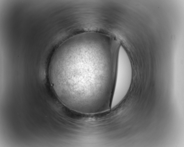 X0000088410687200706051154