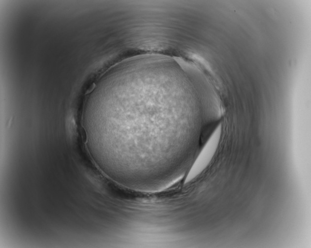 X0000088410688200706051154