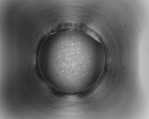 X0000088410689200706051154