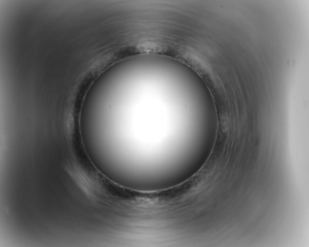 X0000088410690200706051154