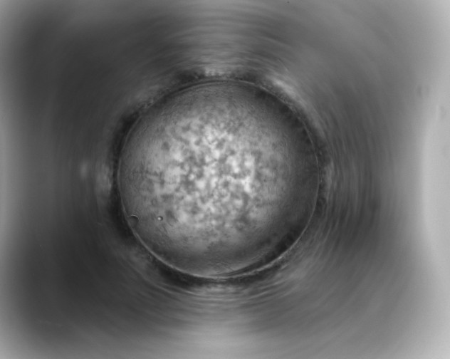 X0000088410691200706051154