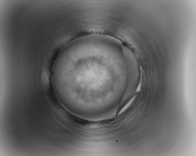 X0000088410692200706051154