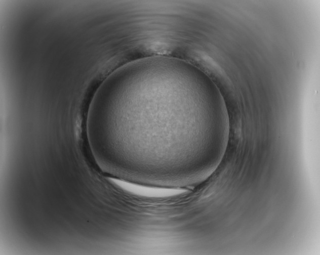 X0000088410693200706051154