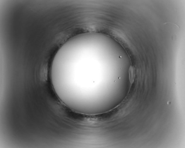 X0000088410694200706051154