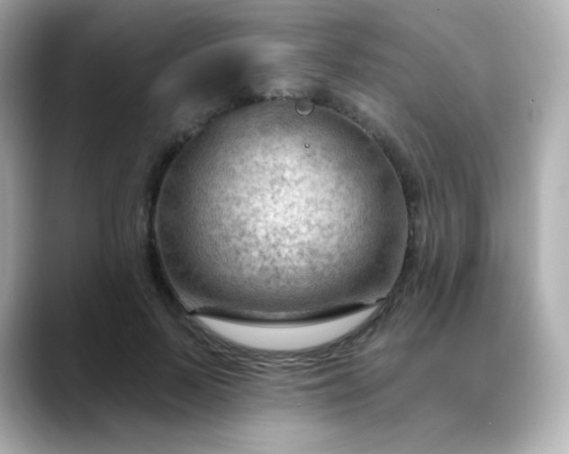 X0000088410695200706051154