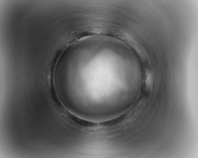 X0000088410696200706051154