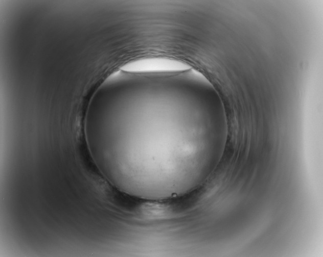 X0000088410699200706051154