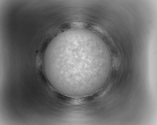 X0000088410701200706051154