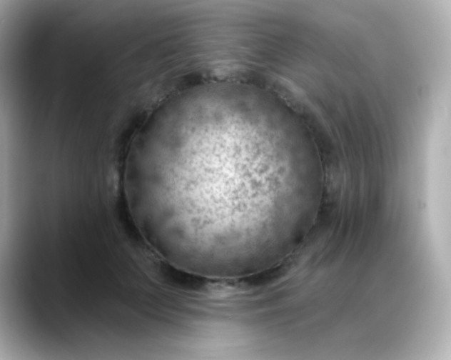 X0000088410703200706051154