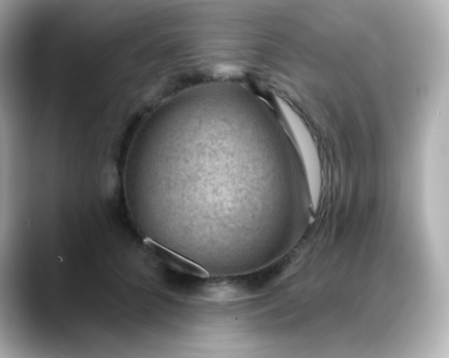 X0000088410704200706051154