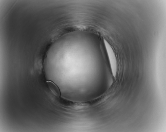 X0000088410707200706051154