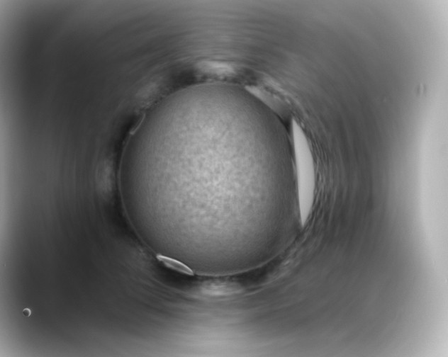 X0000088410708200706051154