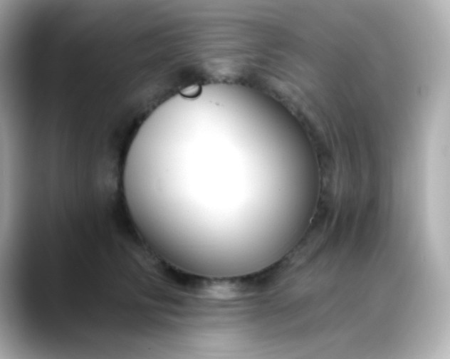 X0000088410710200706051154