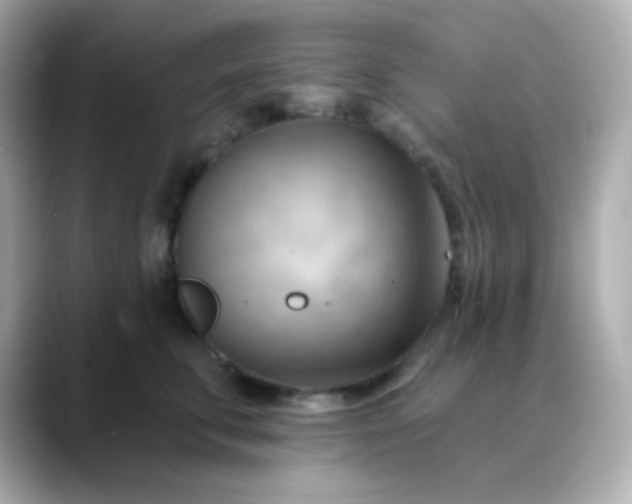 X0000088410711200706051154