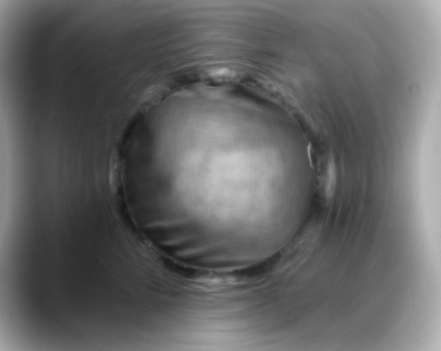 X0000088410712200706051154