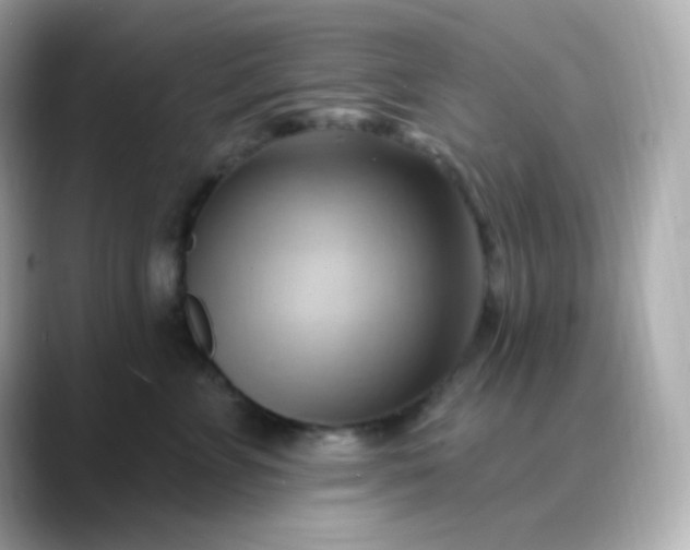 X0000088410715200706051154