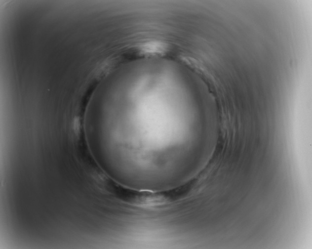 X0000088410716200706051154