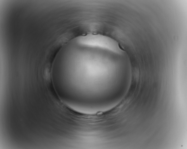 X0000088410719200706051153