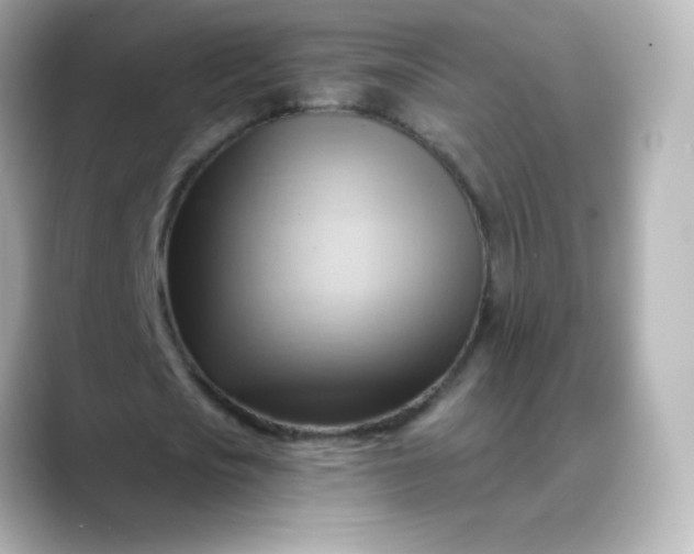 X0000088410721200706051153