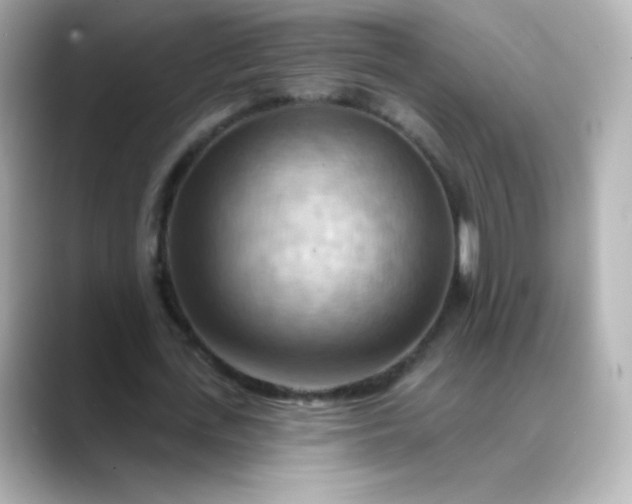 X0000088410723200706051153