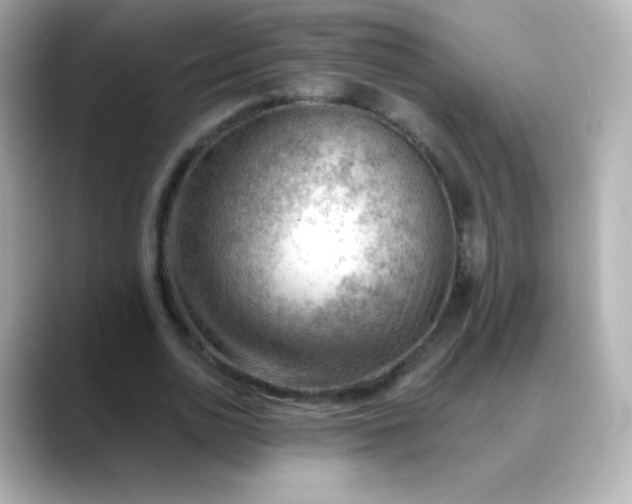 X0000088410726200706051153