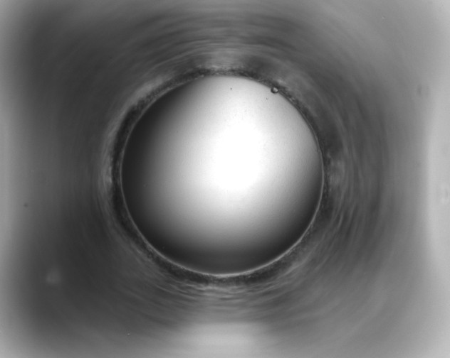 X0000088410727200706051153