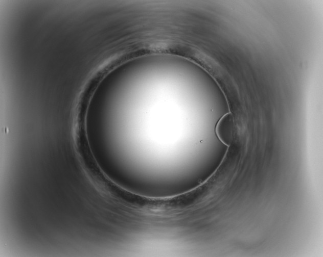 X0000088410728200706051153