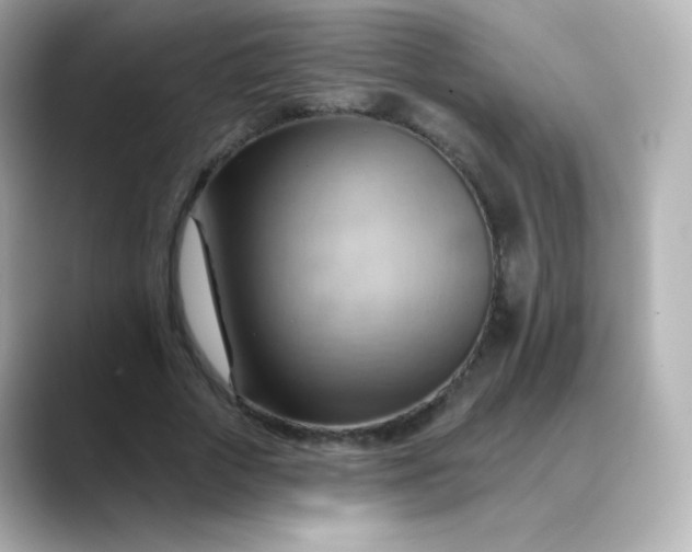 X0000088410729200706051153