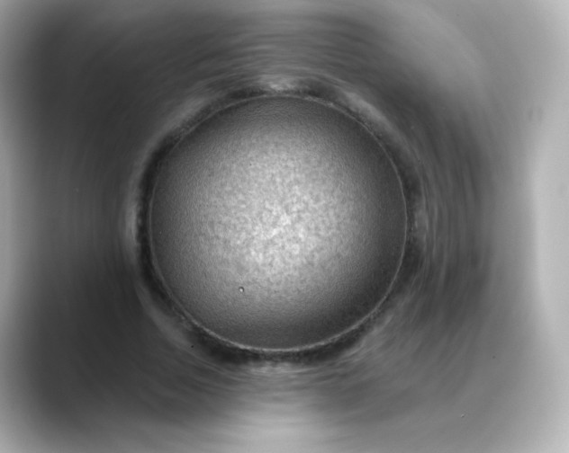 X0000088410730200706051153