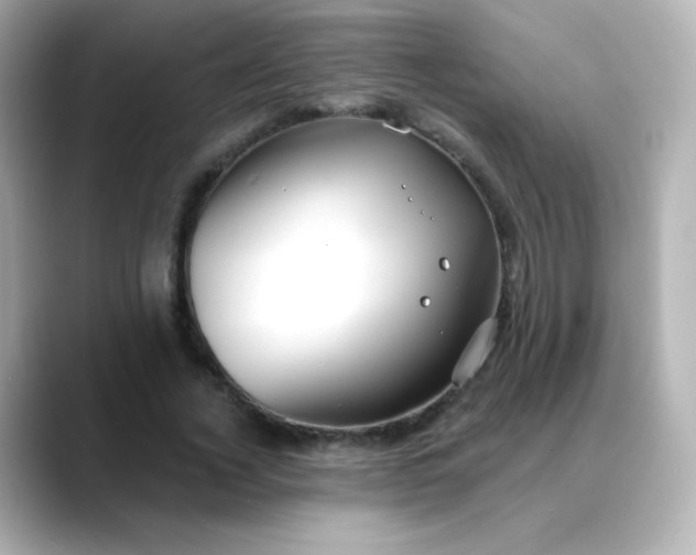 X0000088410732200706051153