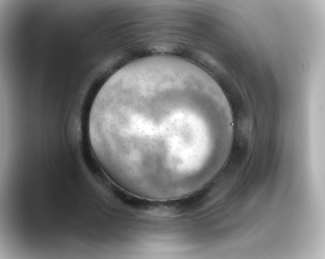 X0000088410734200706051153