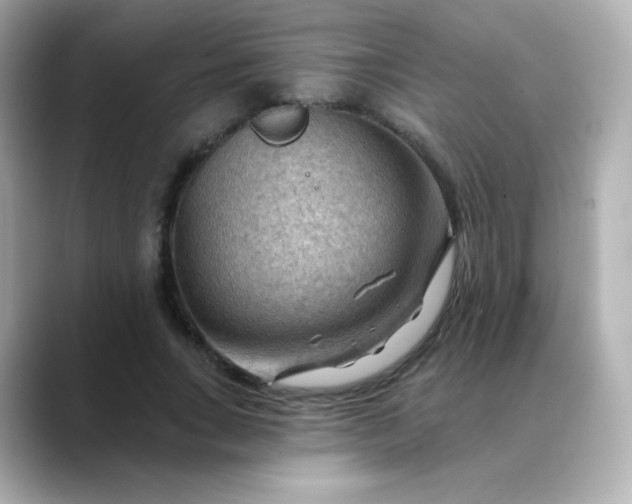 X0000088410735200706051153